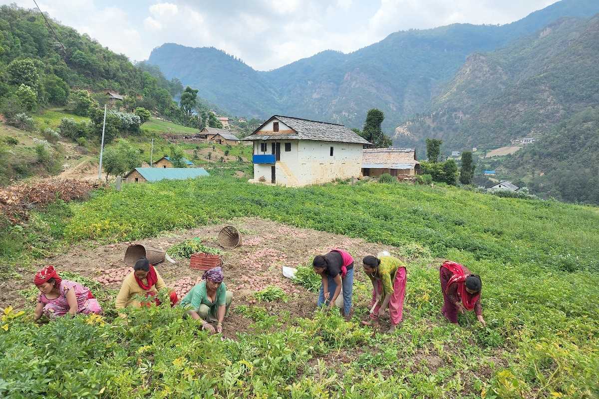 म्याग्दीका किसानलाई कृषि उत्पादन तथा पशुपालनमा अनुदान